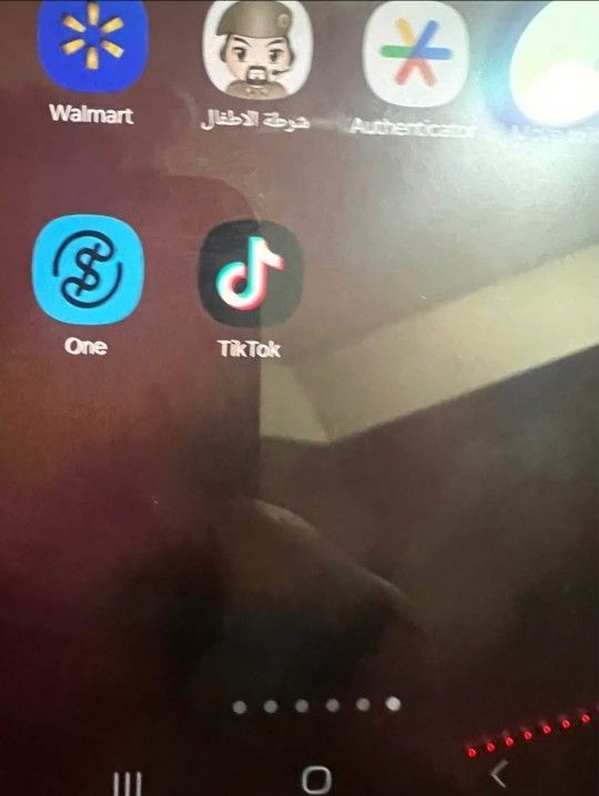 Samsung Galaxy S23 FE 🚨HAS TIKTOK🚨