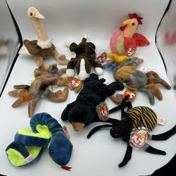 Trade Beanie Babies for: