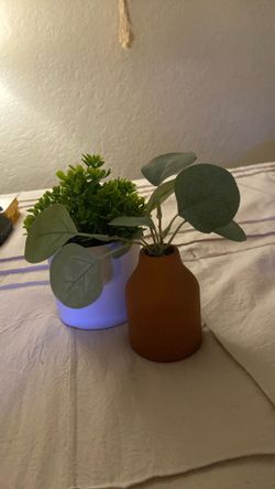 Plant Decor