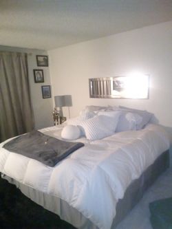 Purple Mattress
