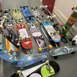 Skateboard Longboard Cruiser 