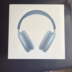 Apple Airpods Max with Smart Case