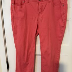 Salmon Capris Size 16