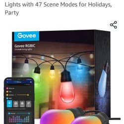 Govee String Lights