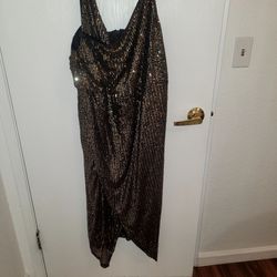 2xL Dress
