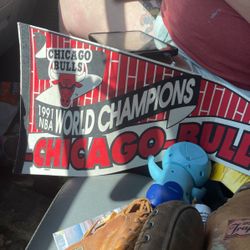 1991NBA Chicago Bulls World champions Pendant