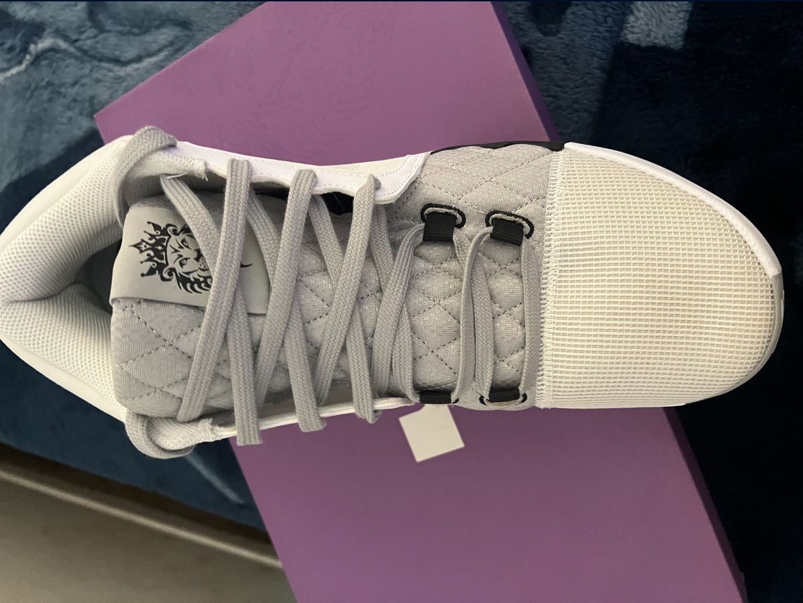 NIKE LEBRON WITNESS VIII