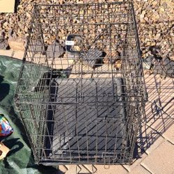 Dog Kennel 