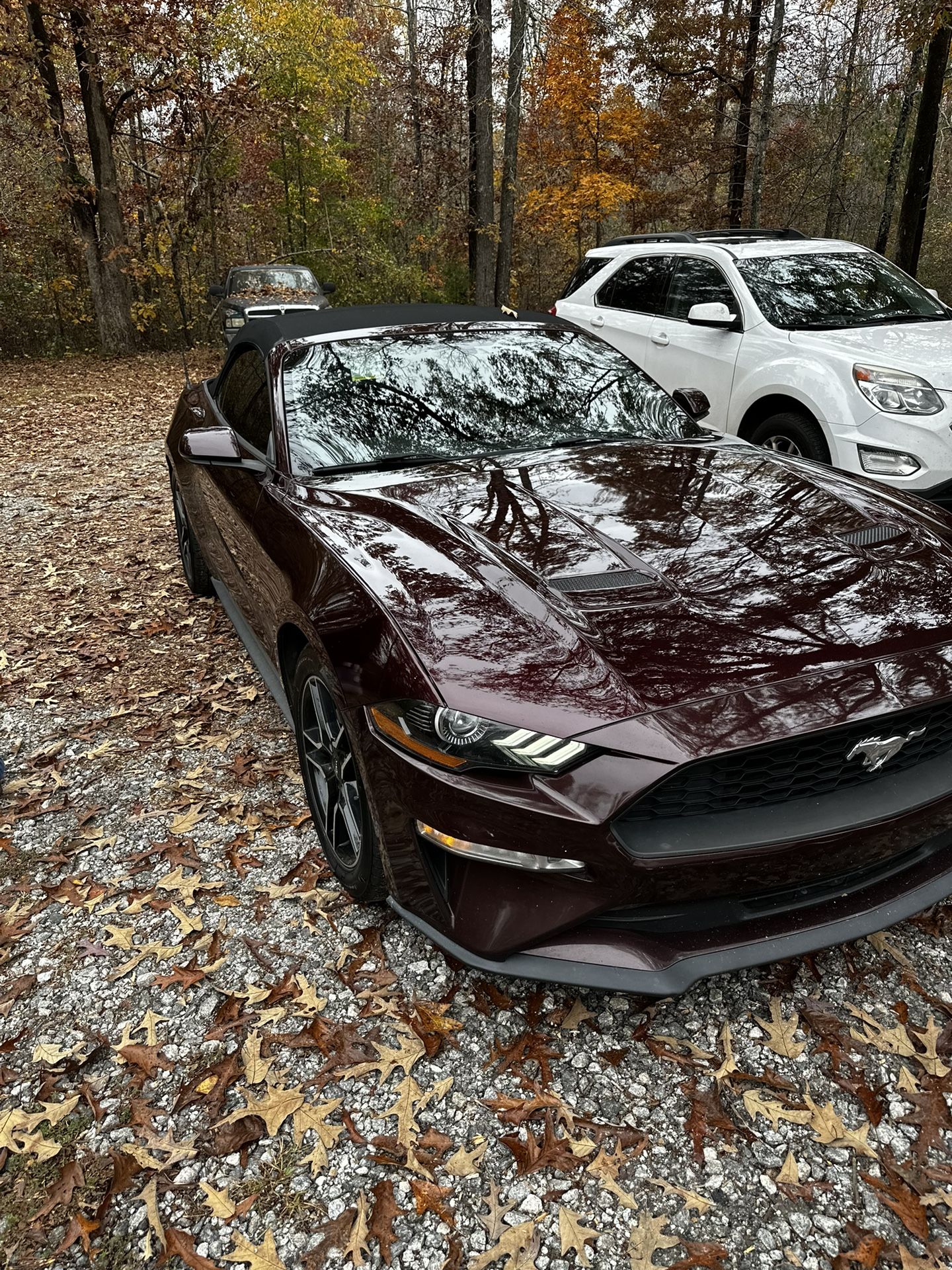 88000 Miles. Mustang Eco Boost Premium.