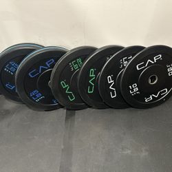 Bumper Plates 160lb