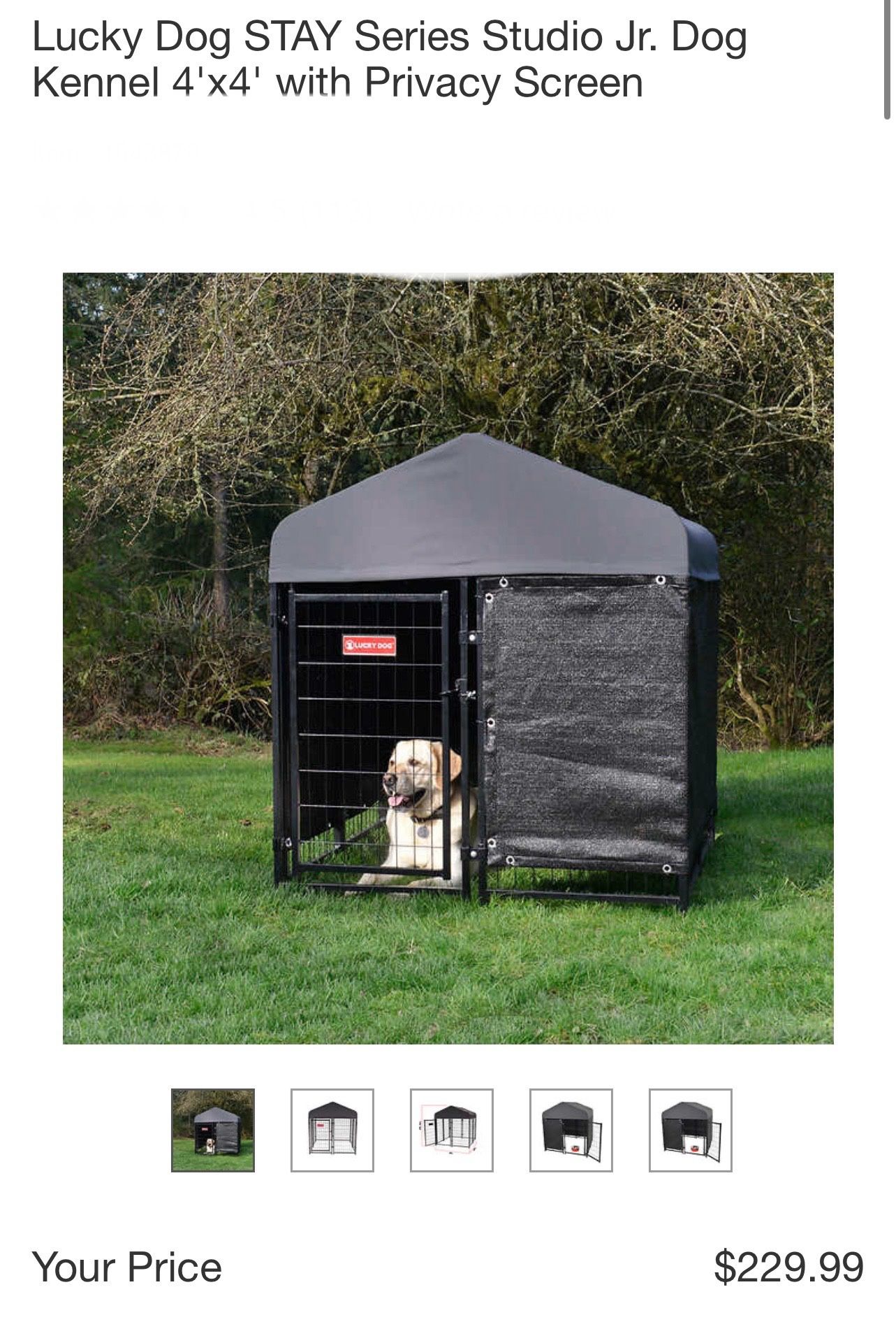 LUCKY DOG STAY SERIES  STUDIO KENNEL 4 X 4 With Privacy Scree n 