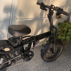 E bike
