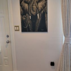  hand-painted  canvas (idea of it on the wall)