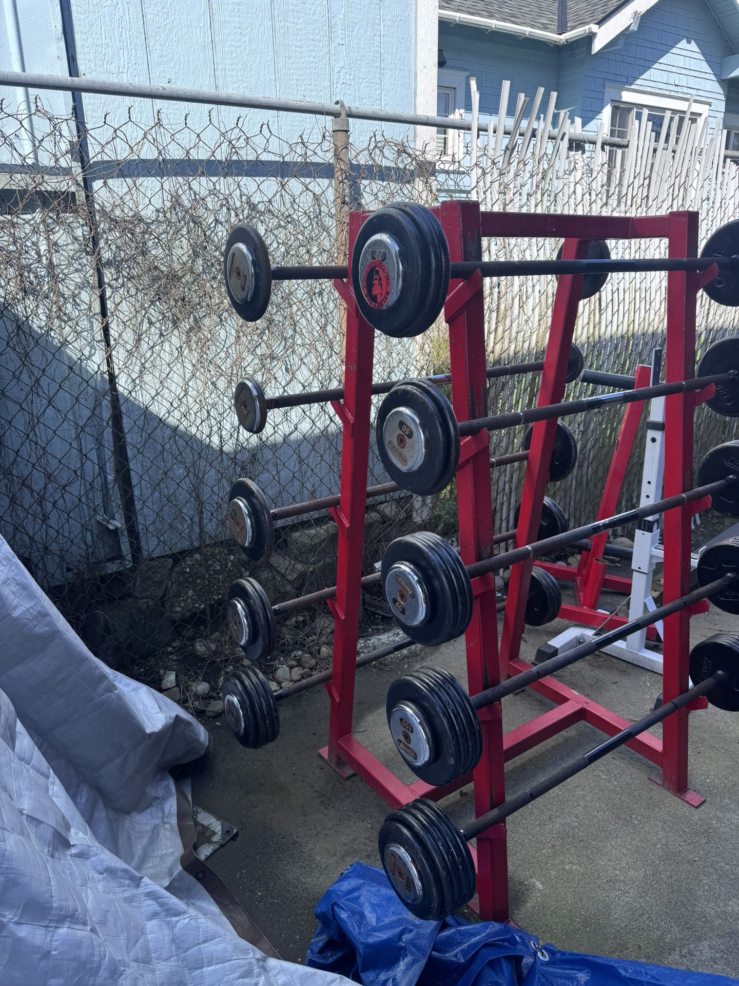 Troy barbell Set