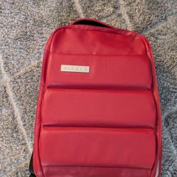 Stable Sneaker Backpack 