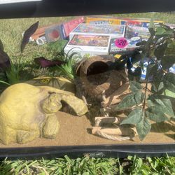 10 Gallon Reptile Tank With Hides And Plants 