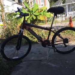 Schwinn Bicycle Size 24