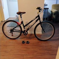 Ladies Bike