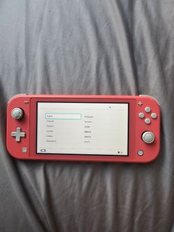 Switch lite