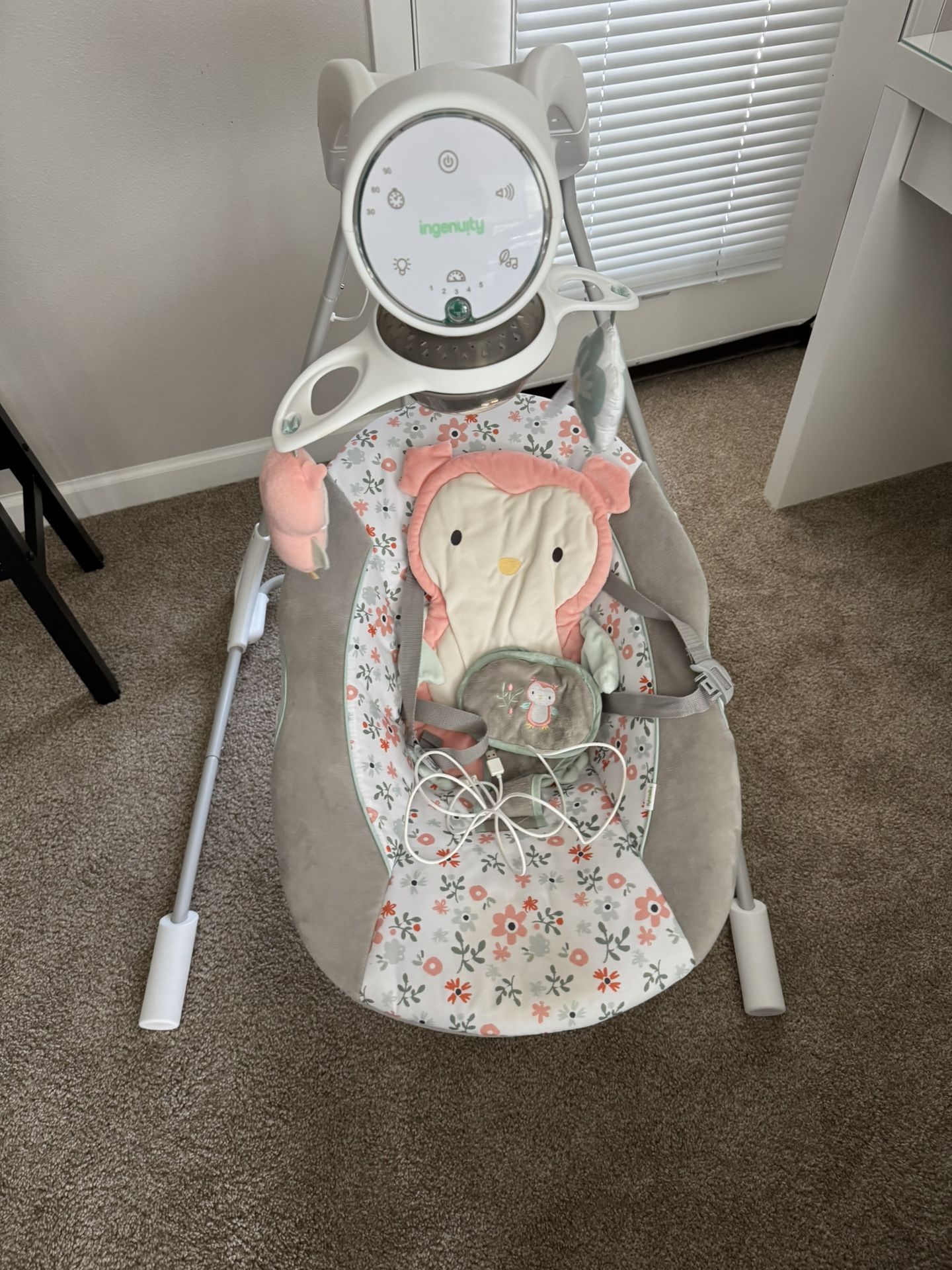 Baby Swing