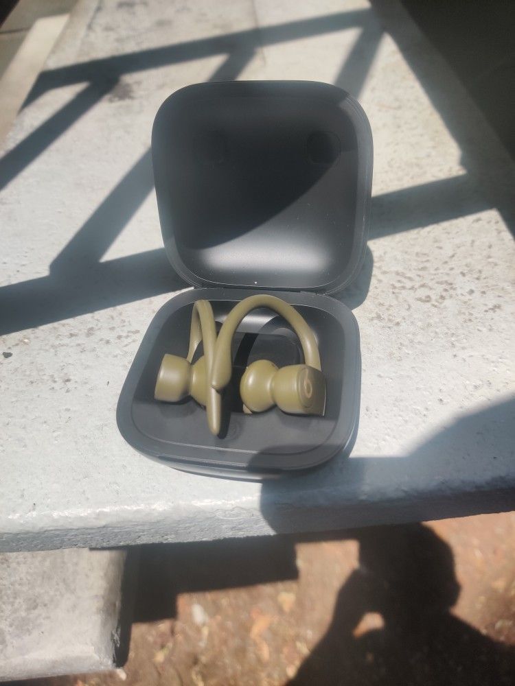Beats Powerbeats Pro wireless earbuds in their charging case.