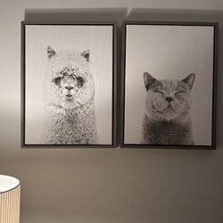 2 Framed Pictures