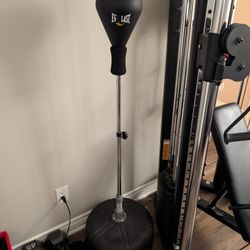 Everlast Punching Bag 