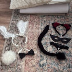 Halloween Costumes Bunny & Cat