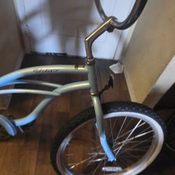 BEACH  CRUISER.             35