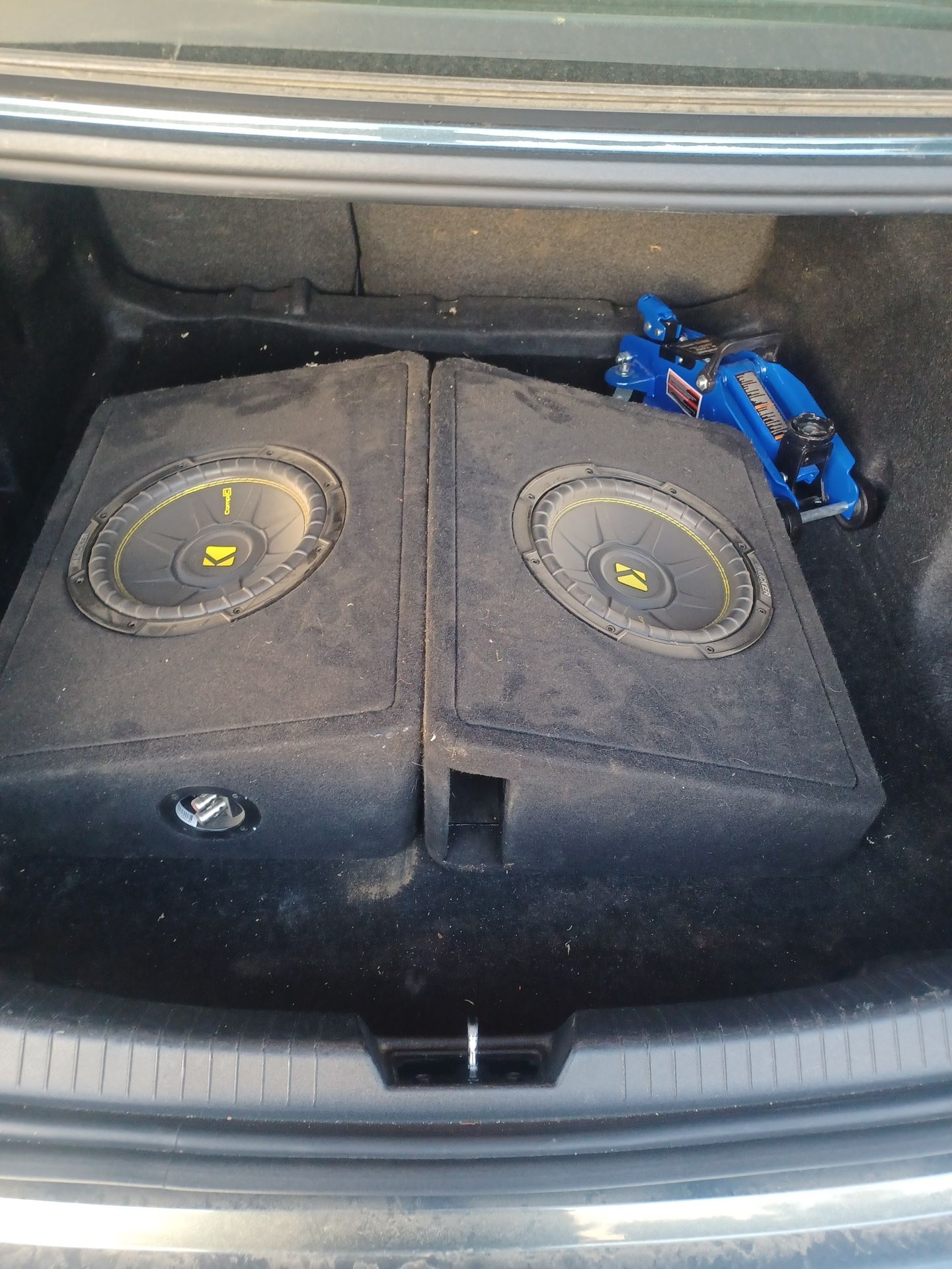 Kicker Comp C 8”