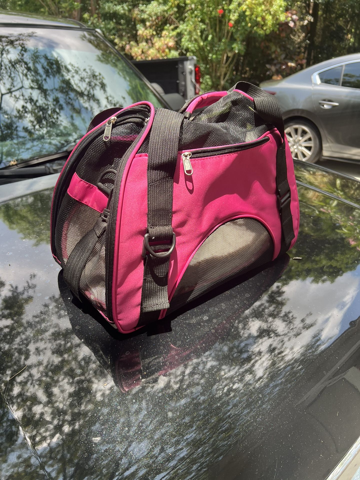 Small Dog Carrier