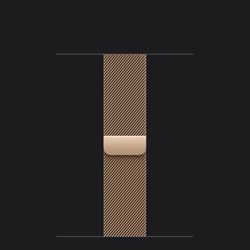 Apple 40mm Gold Milanese Loop Band