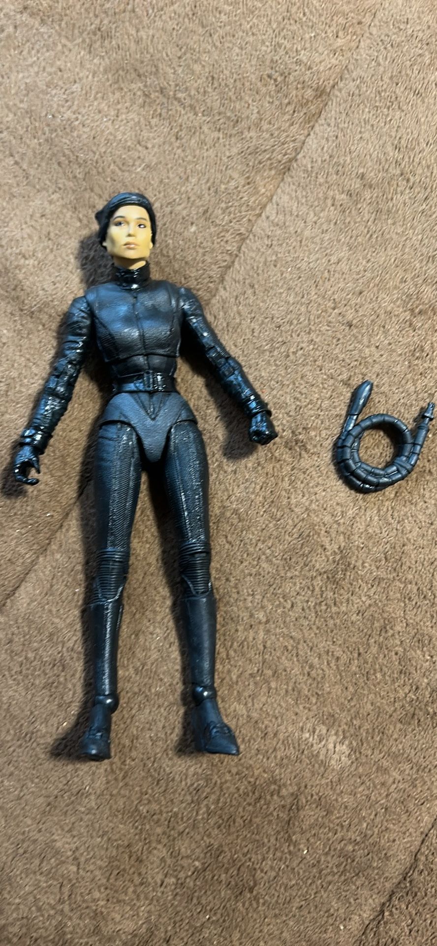 Cat Women Action Figure Dc 