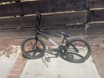 Sunday Scout Bmx