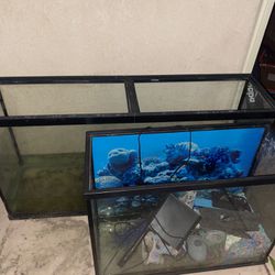 Reptile And Fish Tank 