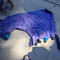 Horse Gear