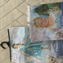 Frozen Costume 