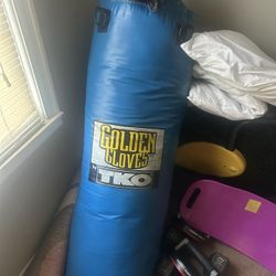 Golden Gloves Punching Bag