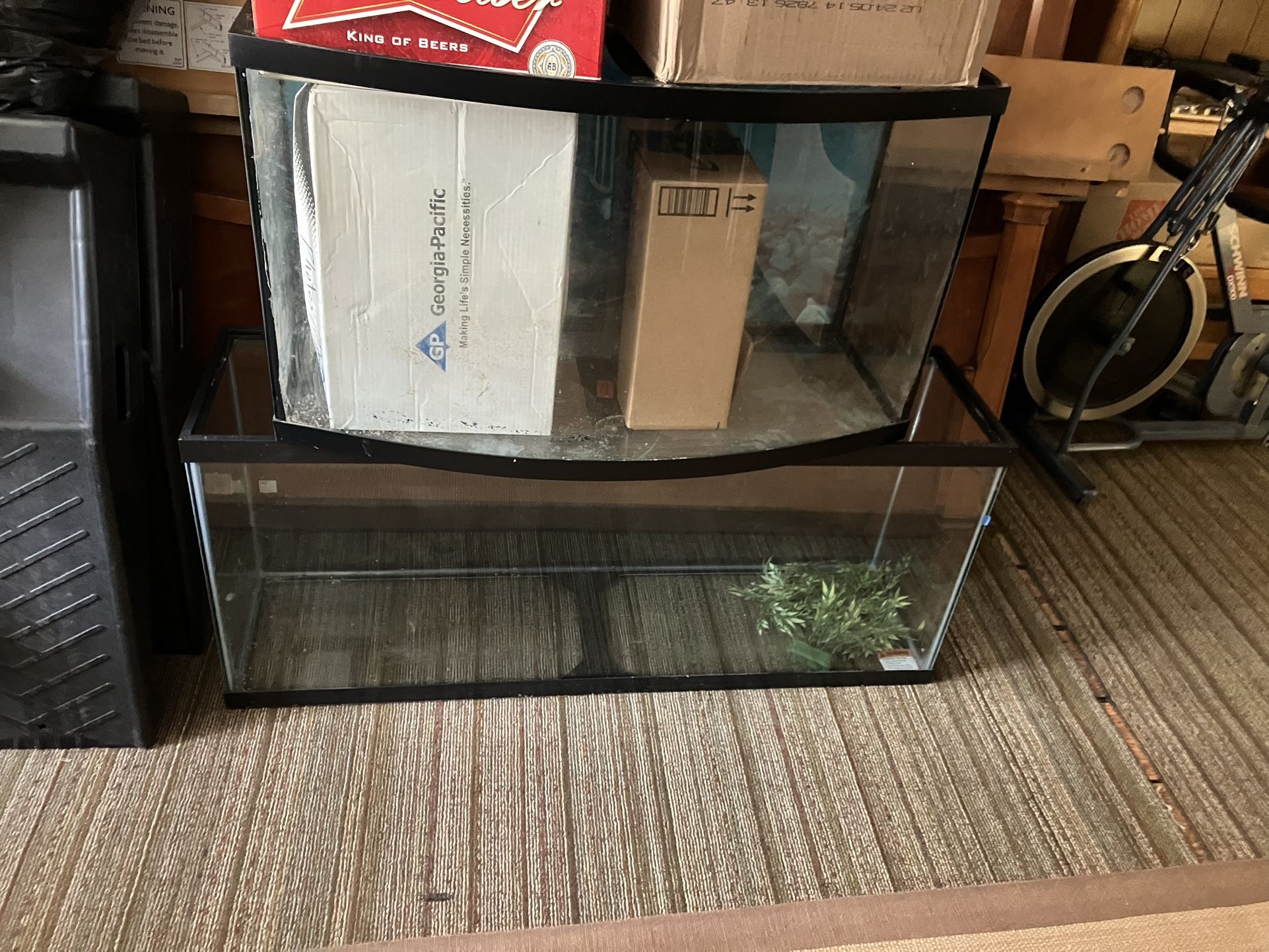 Fish Tanks