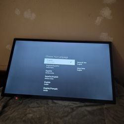 32 Inch Flat Screen 