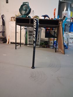Baseball bat easton