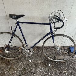 Bicicleta Azul