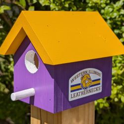 University Themed Bird Houses 