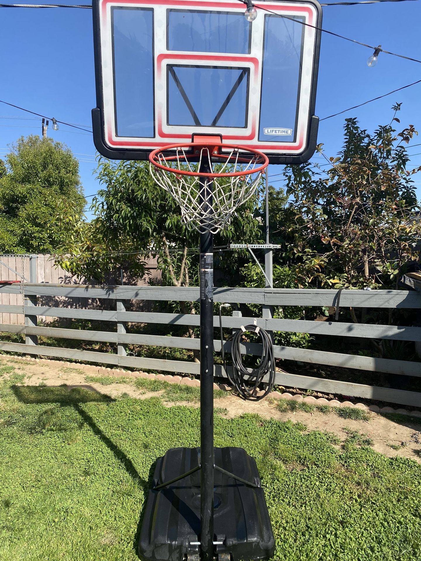 Lifetime Basketball Hoop