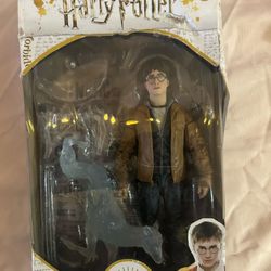 Harry Potter Figure