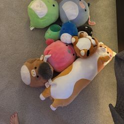 Tons Of Plushies