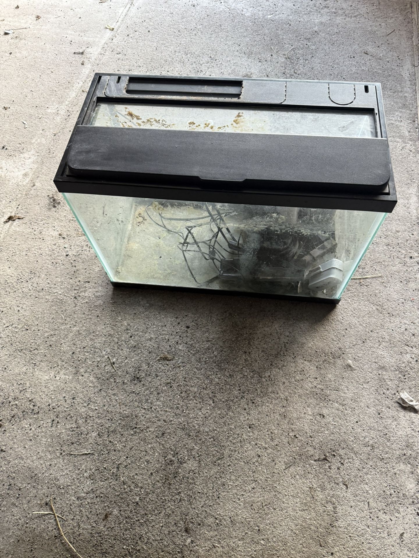 Fish Tank