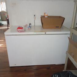 Large Deep Freezer 