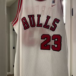 Nike Authentic Jordan Jersey From The 90s