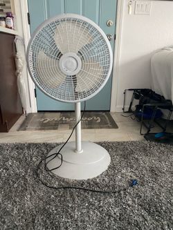 Fan